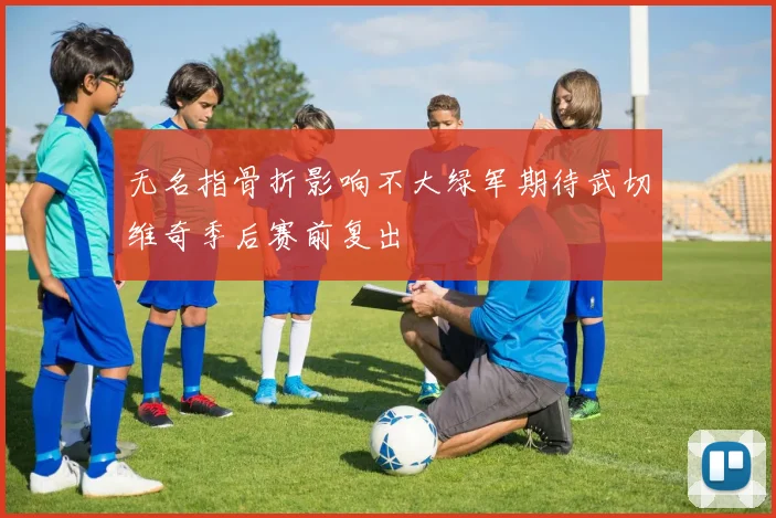 无名指骨折影响不大绿军期待武切维奇季后赛前复出