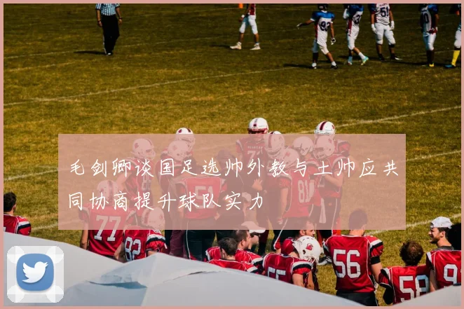 毛剑卿谈国足选帅外教与土帅应共同协商提升球队实力