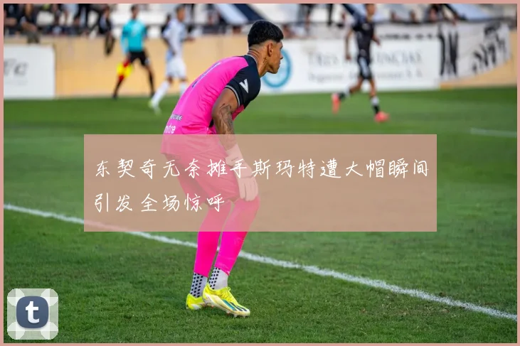 东契奇无奈摊手斯玛特遭大帽瞬间引发全场惊呼