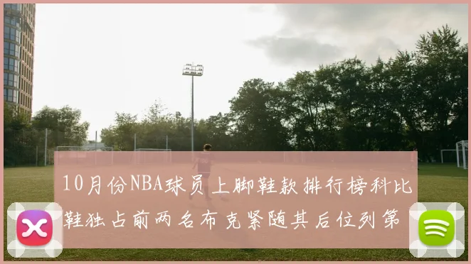 10月份NBA球员上脚鞋款排行榜科比鞋独占前两名布克紧随其后位列第四