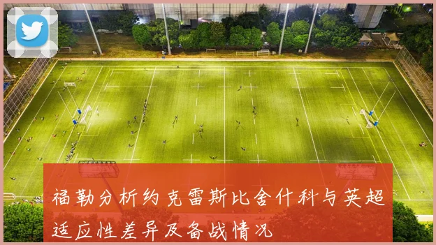 福勒分析约克雷斯比舍什科与英超适应性差异及备战情况