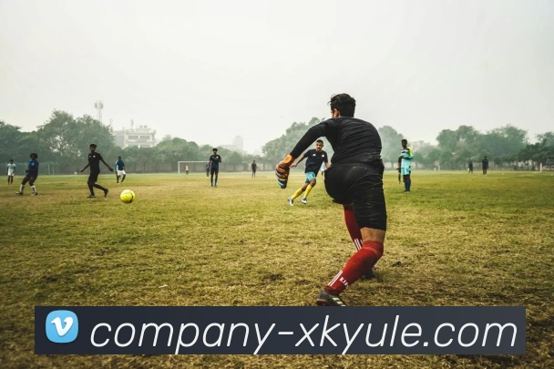 多媒体互动体验